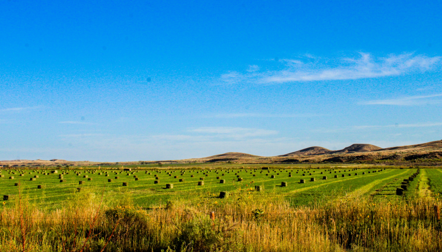 Butterfield Farm & Livestock Worland Wyoming Fay Ranches