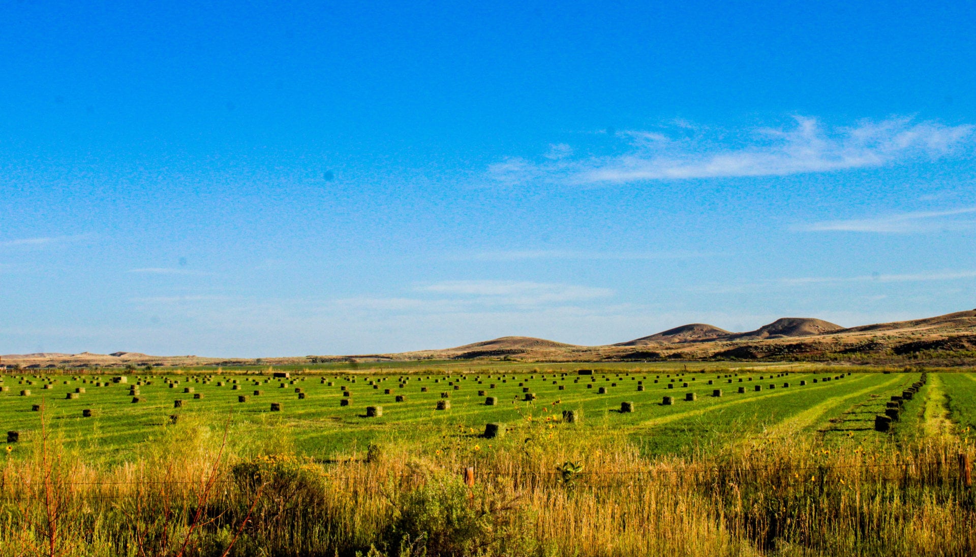 hay ground for sale wyoming butterfield farm and livestock