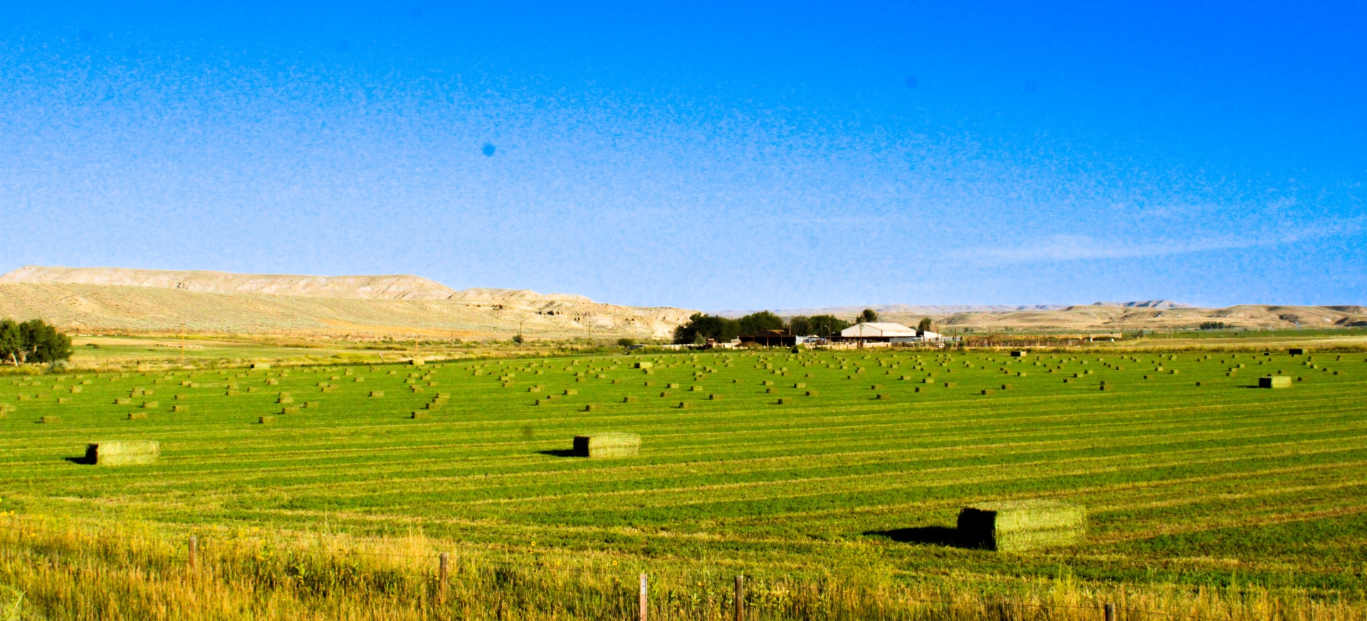 hay ground wyoming butterfield farm and livestock