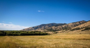 how-to-grow-sustainable-profit-through-analyzing-ranch-performance-featured