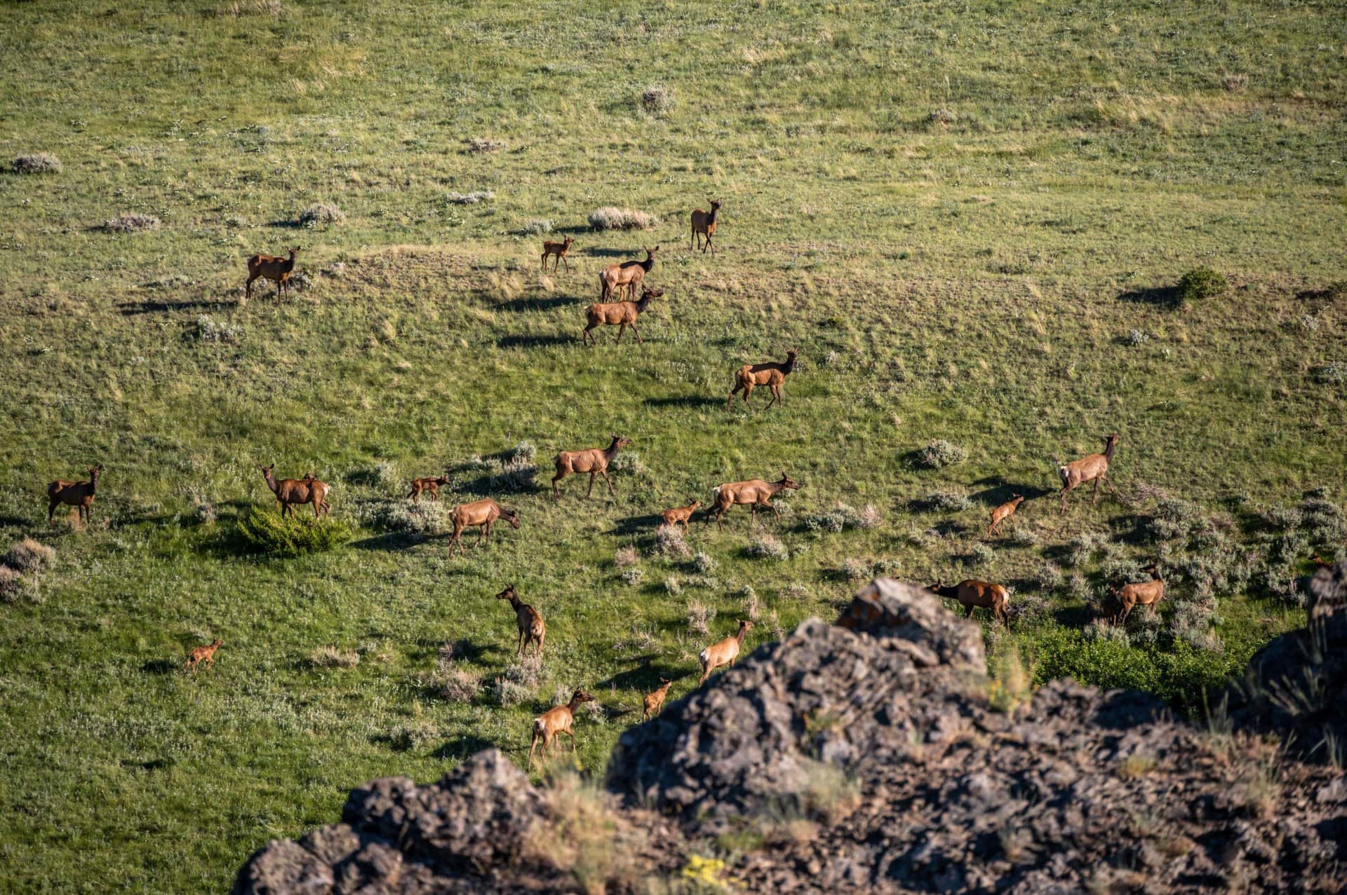 hunting montana bozeman pass ranch tract 5