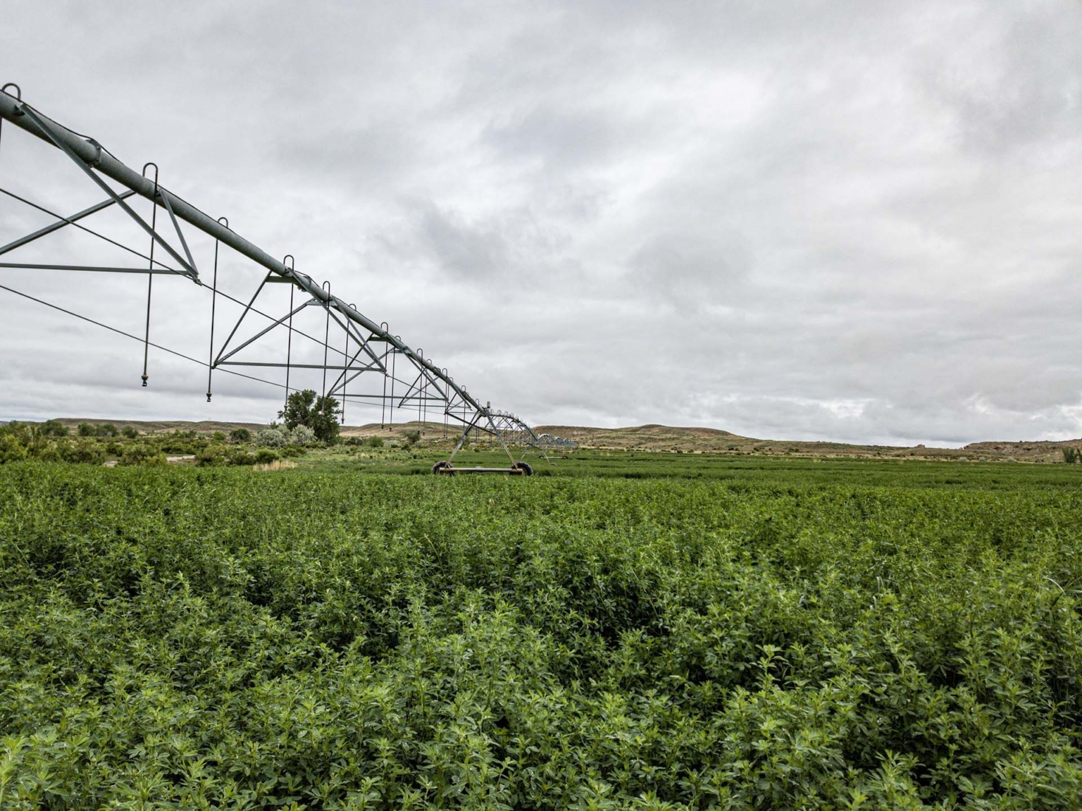 Butterfield Farm & Livestock Worland Wyoming Fay Ranches
