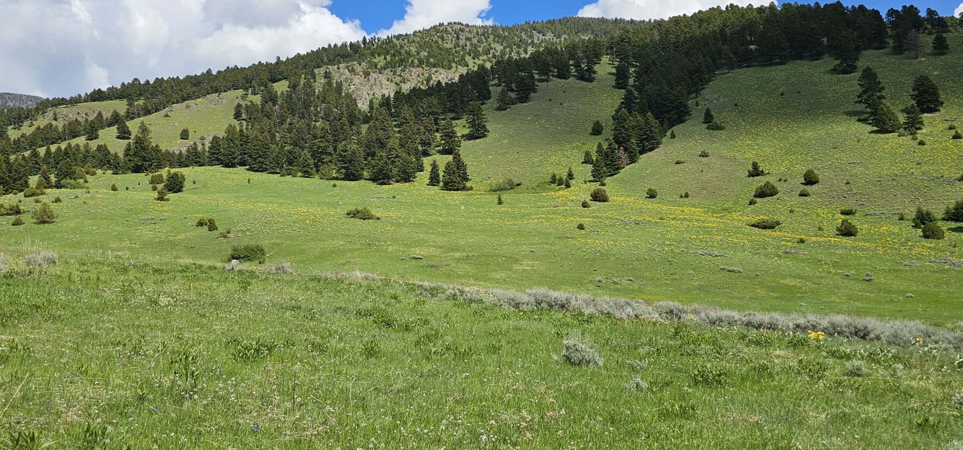 landscape montana gallatin valley overlook