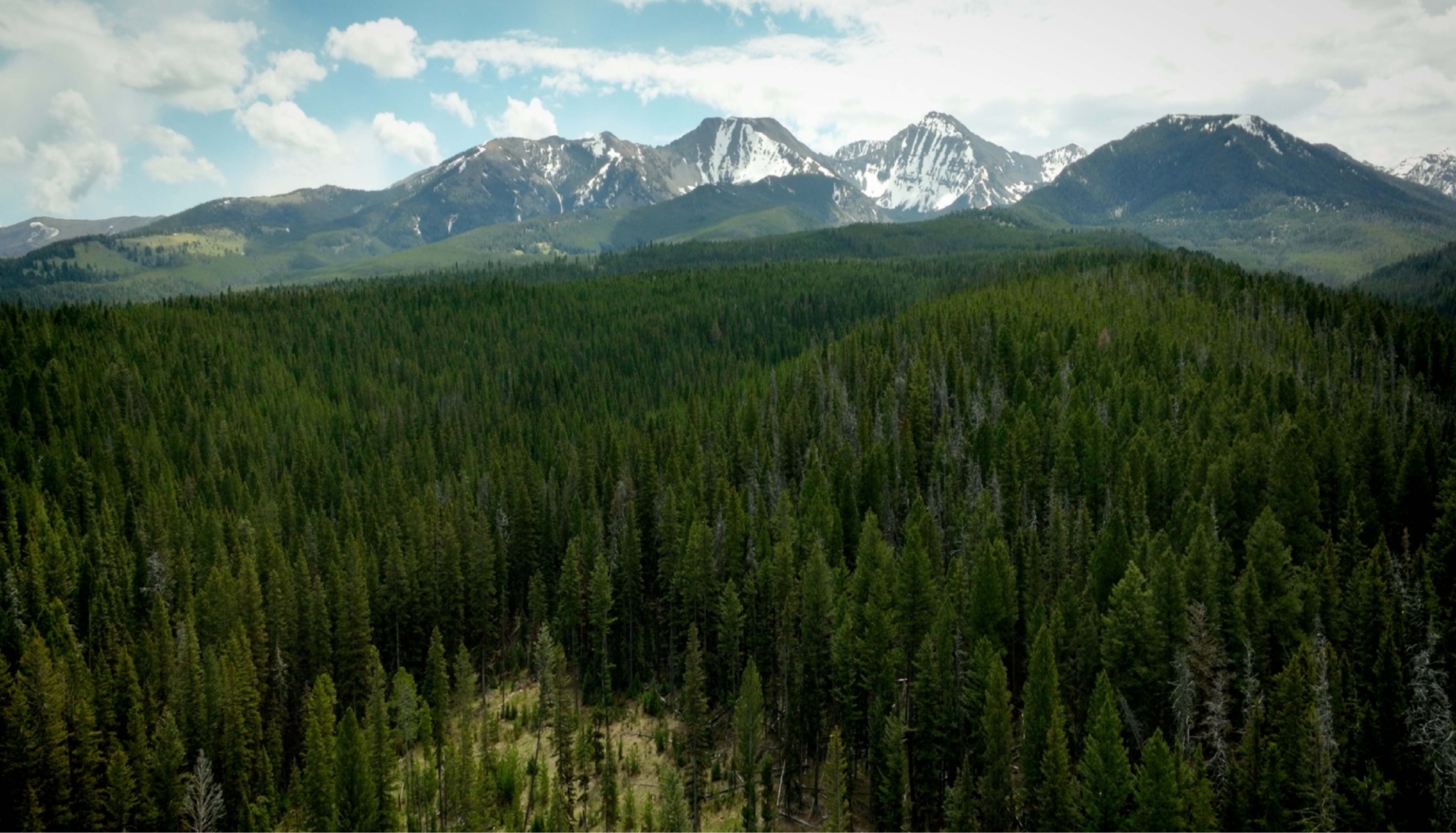 Montana Eagle Ranch Wilsall Montana Fay Ranches
