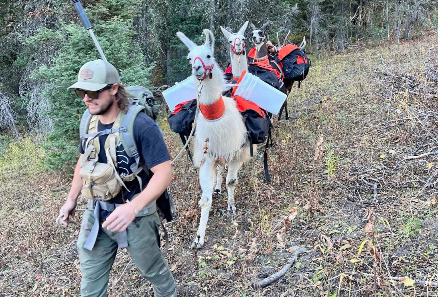mike gatlin wyoming idaho farm sales hiking llamas
