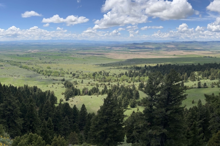 Montana Ranch Land Properties For Sale Fay Ranches