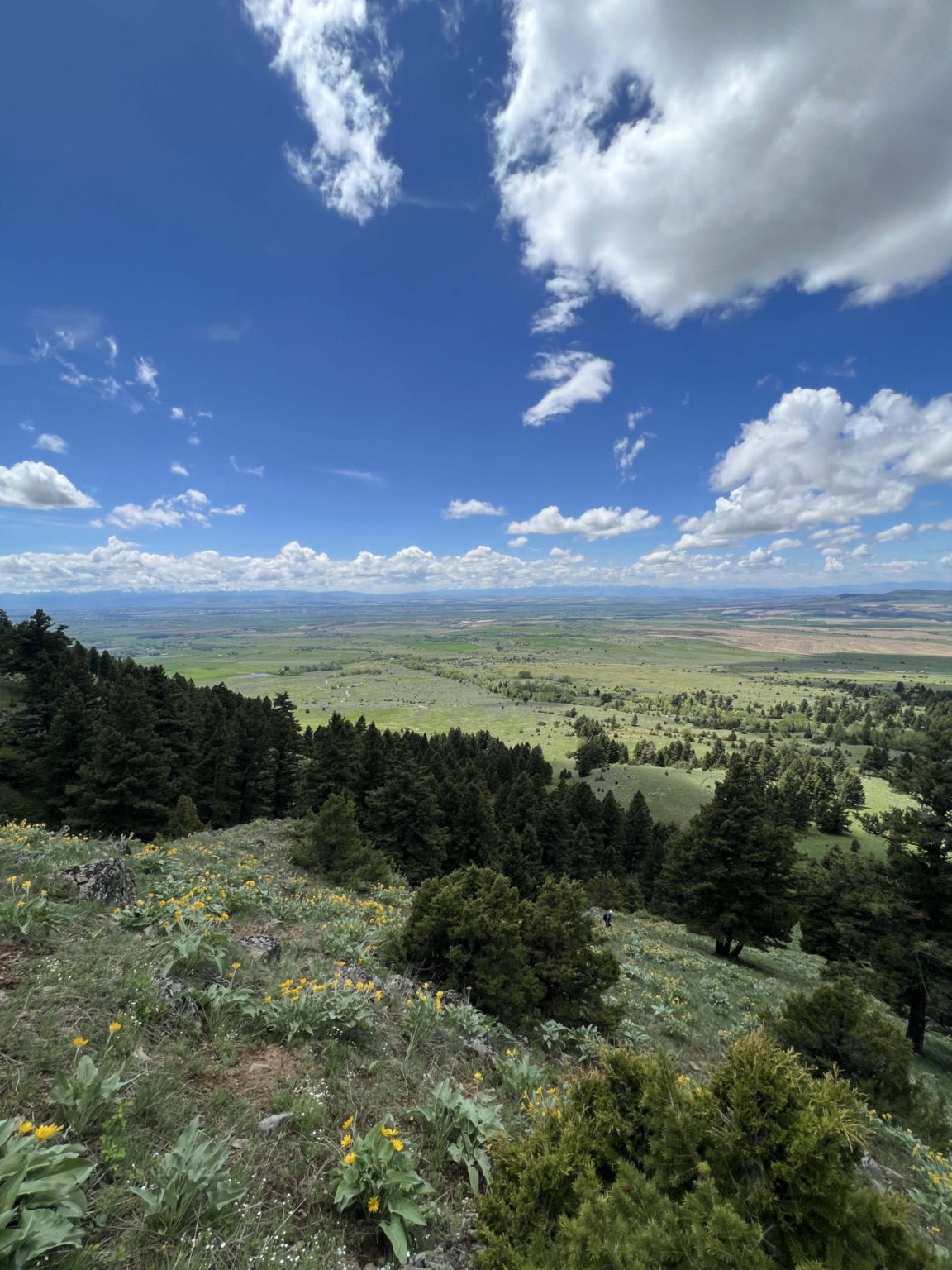 Gallatin Valley Overlook Belgrade Montana Fay Ranches