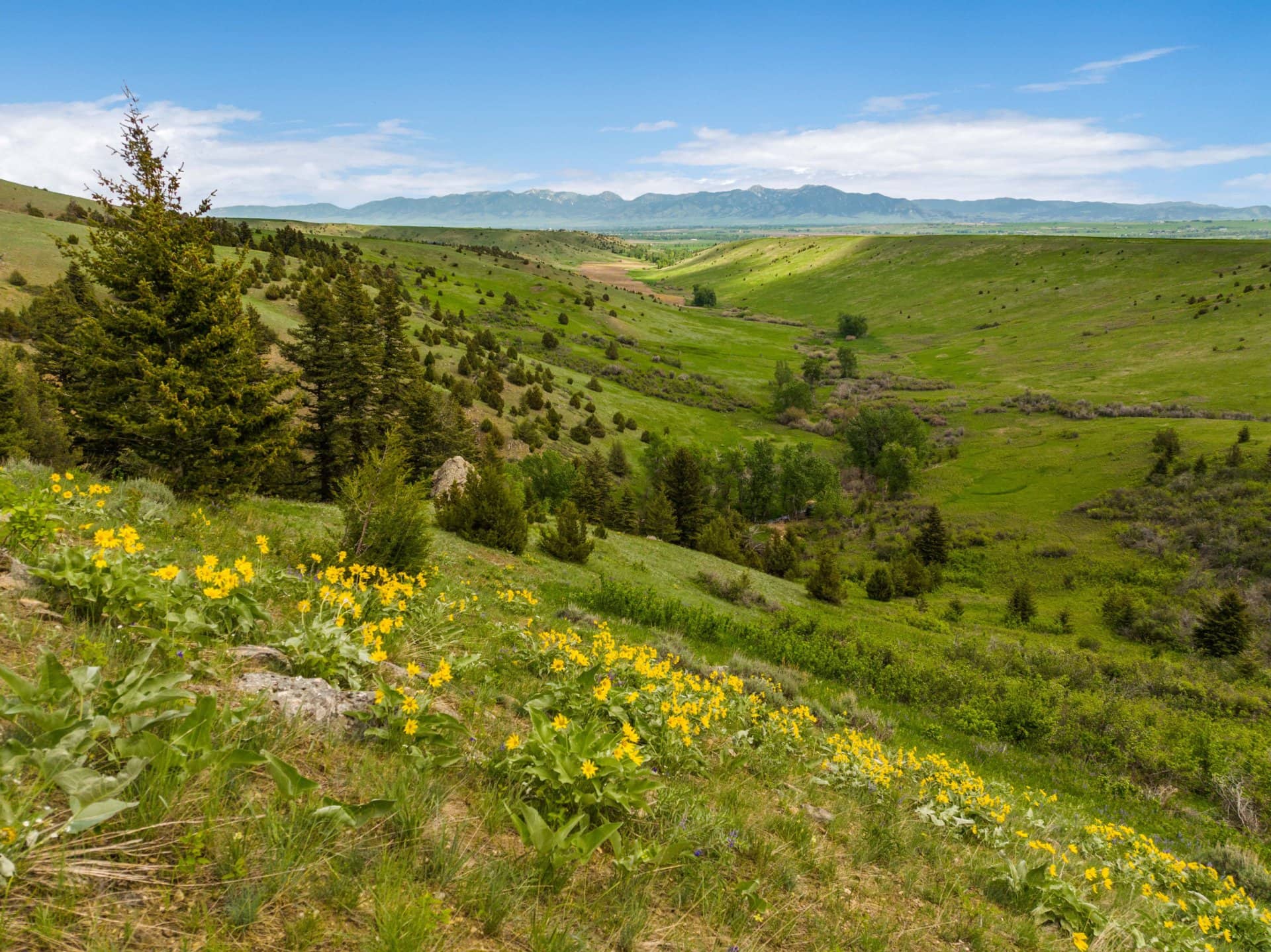 panoramic montana maryott gulch at montana ranch