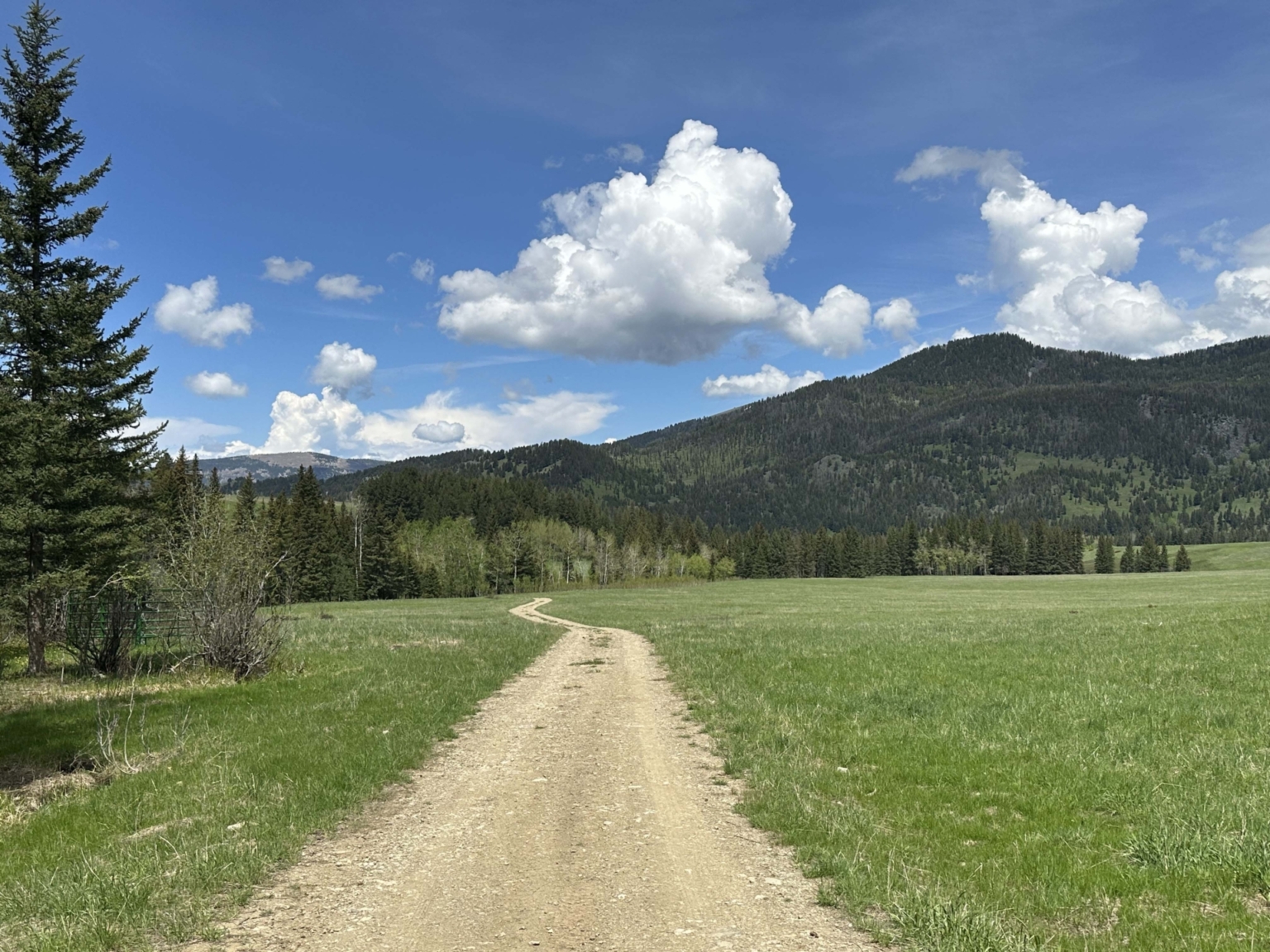 Montana Eagle Ranch Wilsall Montana Fay Ranches