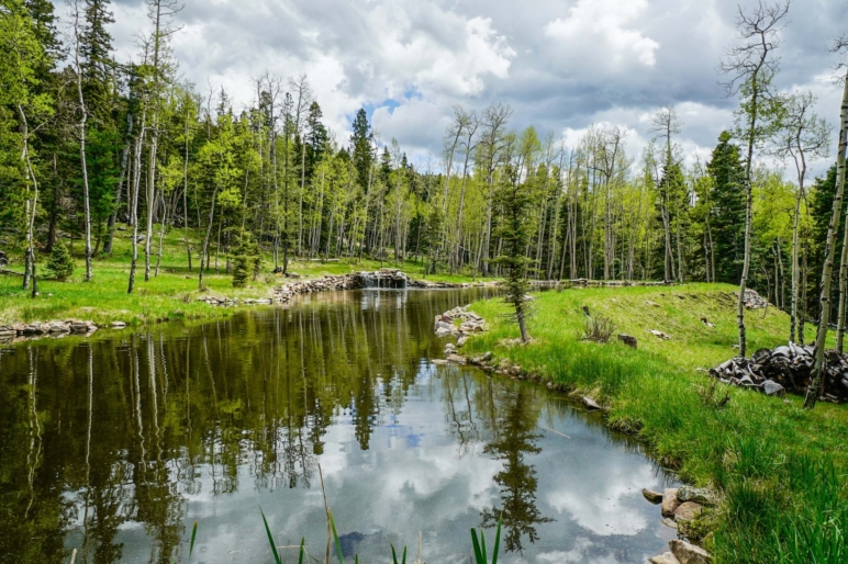 Los Cielos Black Lake New Mexico Fay Ranches