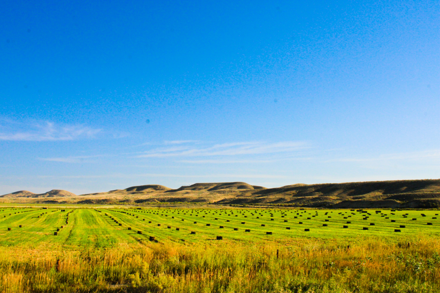 Butterfield Farm & Livestock Worland Wyoming Fay Ranches