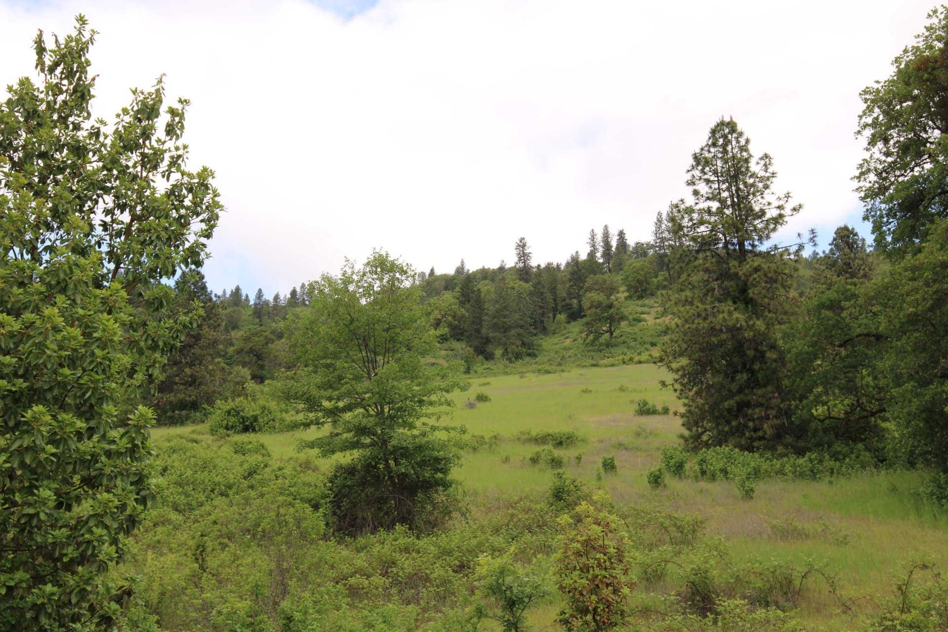Big Game Hunting Oregon Nickel Mountain Ranch