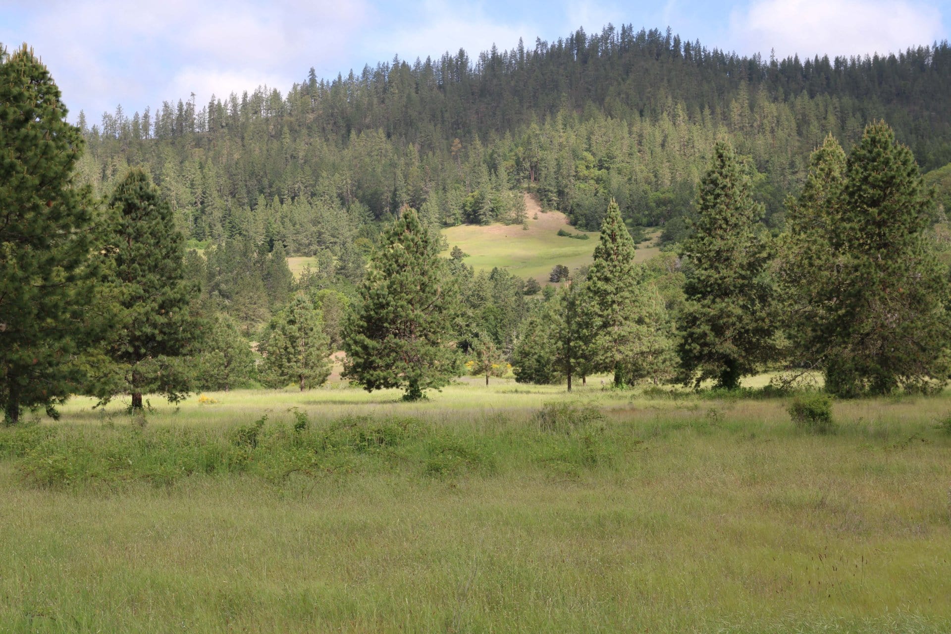 Hunting Meadow Oregon Nickel Mountain Ranch