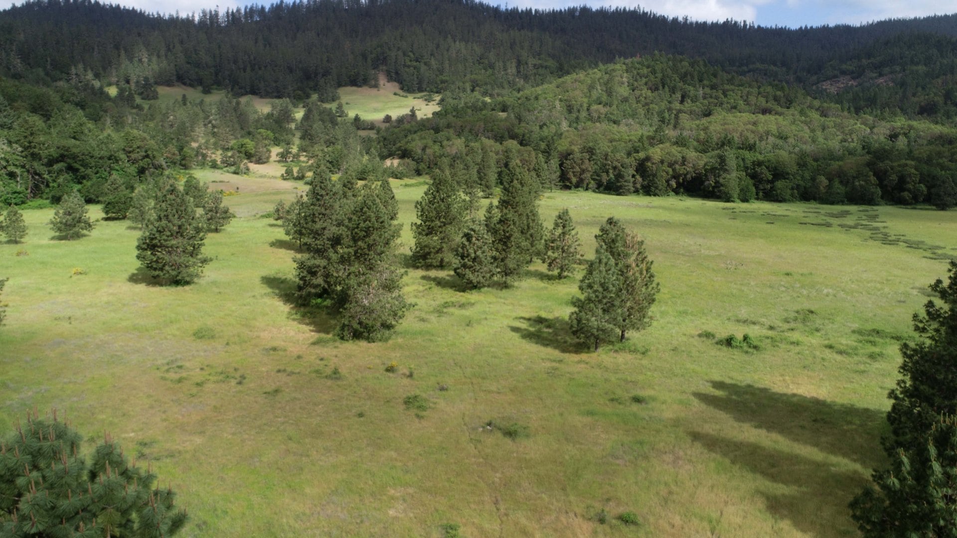 native american meadow oregon nickel mountain ranch.JPG