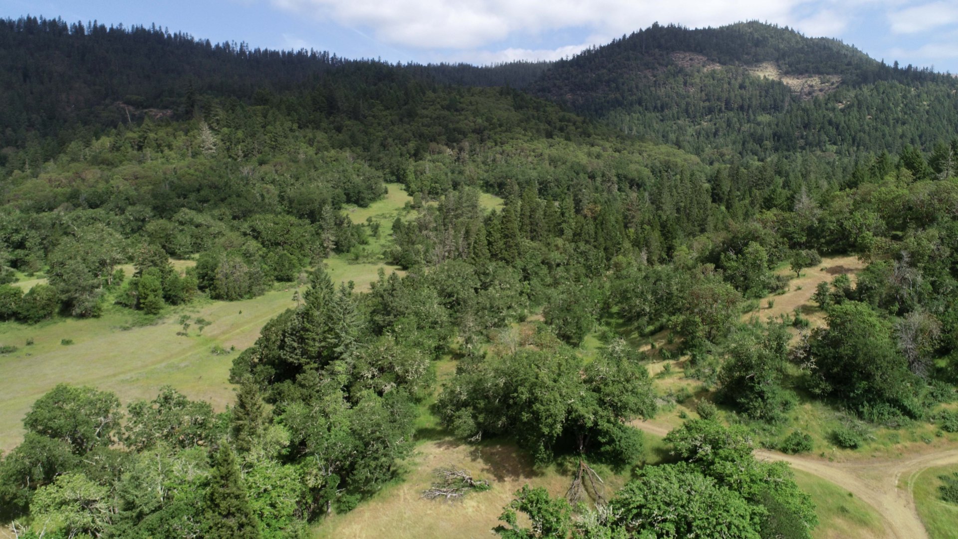 overlook timber oregon nickel mountain ranch.JPG
