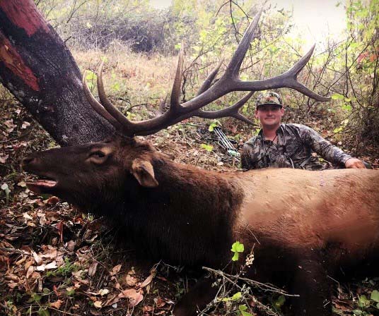 Roosevelt Elk hunting Oregon Nickel Mountain Ranch
