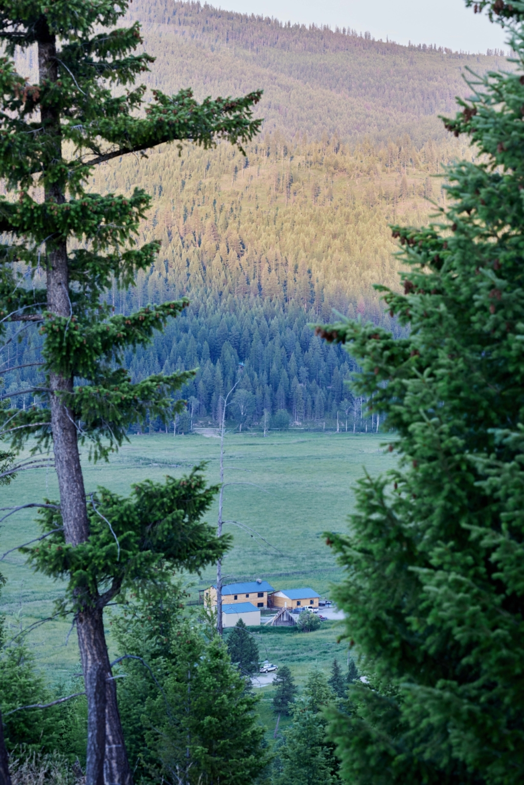 Browns Meadow Ranch Kila Montana Fay Ranches