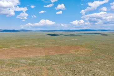 agricultural production property for sale oregon the new moffitt ranch