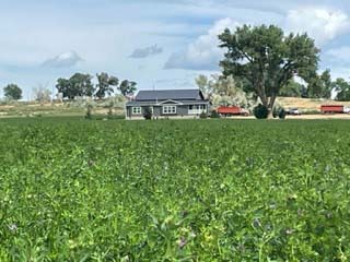 alfalfa home wyoming polecat bench farm
