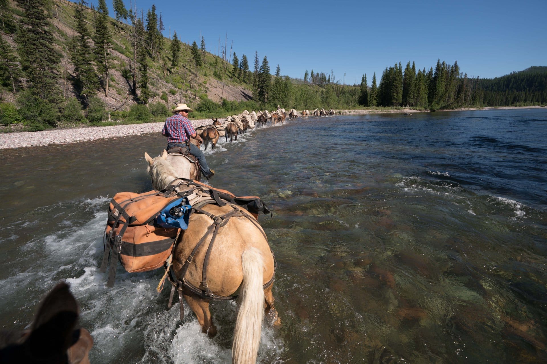 backcountry mule team montana wilderness lodge and outfitting