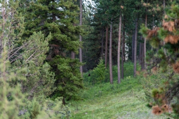 big game hunting land for sale oregon rockin' river ranch