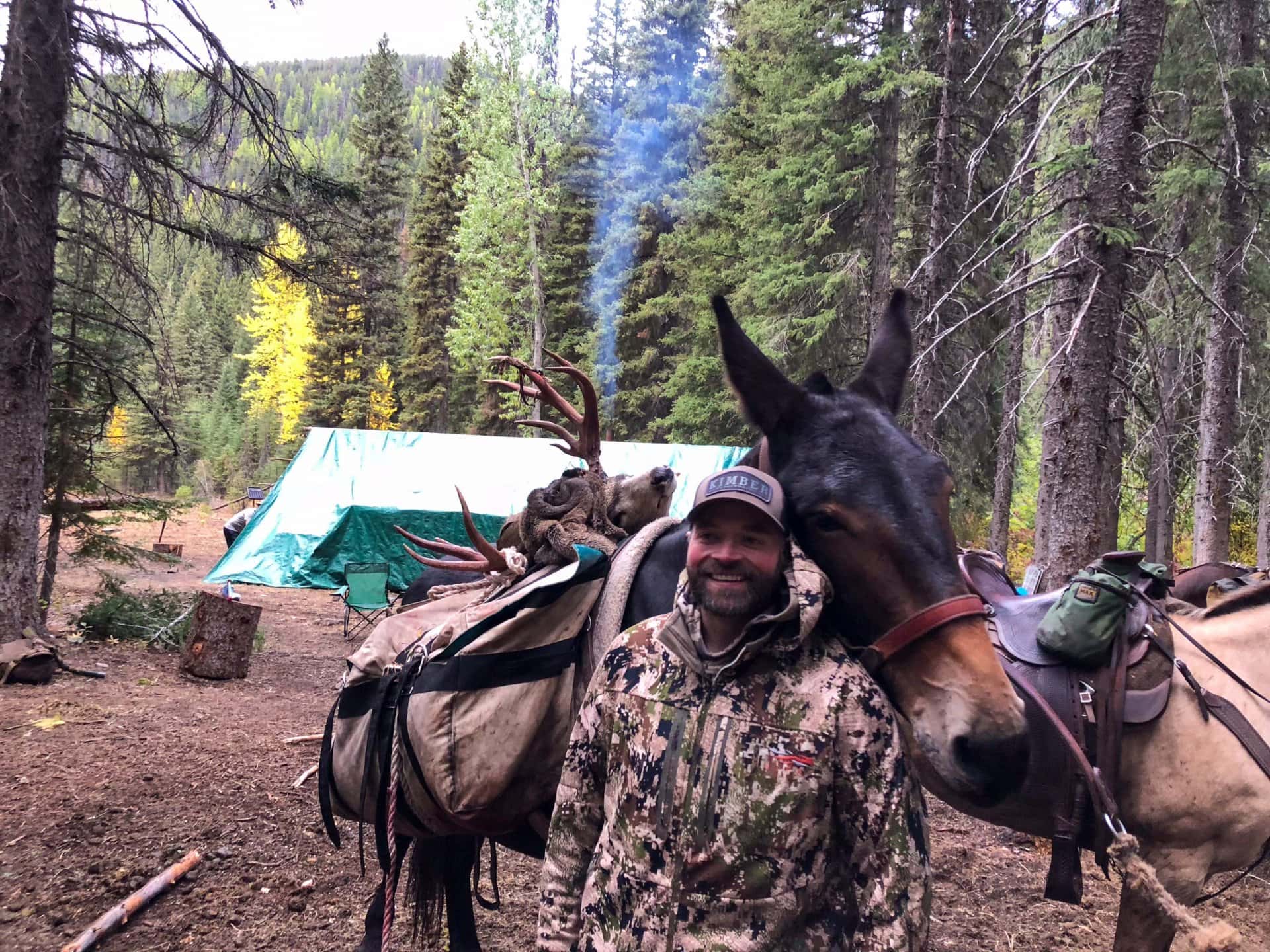 deer hunts montana wilderness lodge and outfitting