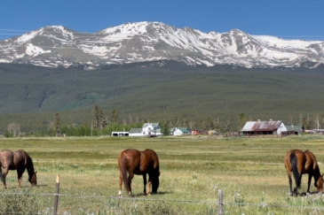 equestrian property for sale colorado lake fork ranch