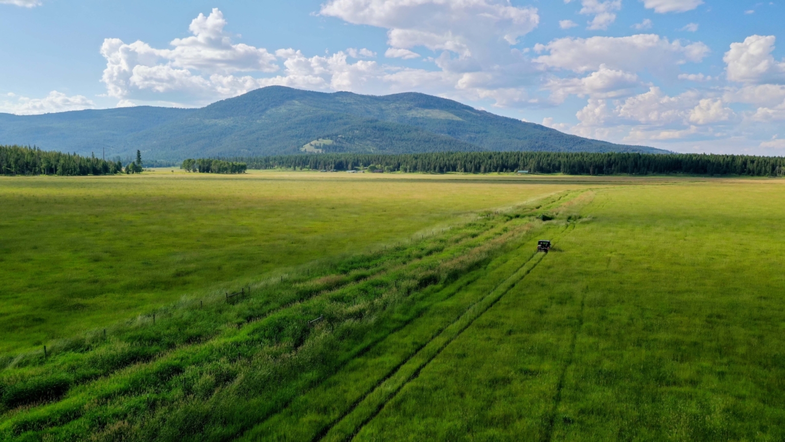 Browns Meadow Ranch Kila Montana Fay Ranches