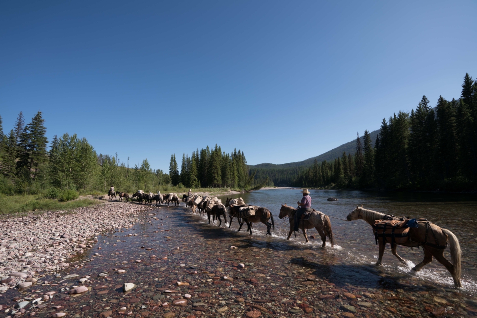 Montana Wilderness Lodge & Outfitting Spotted Bear Montana Fay Ranches