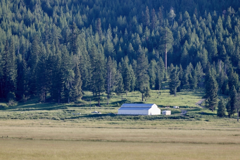 Browns Meadow Ranch Kila Montana Fay Ranches