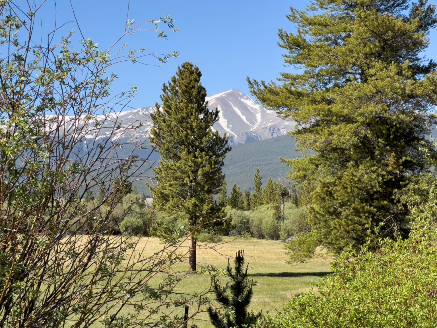 Lake Fork Ranch | Leadville Colorado | Fay Ranches