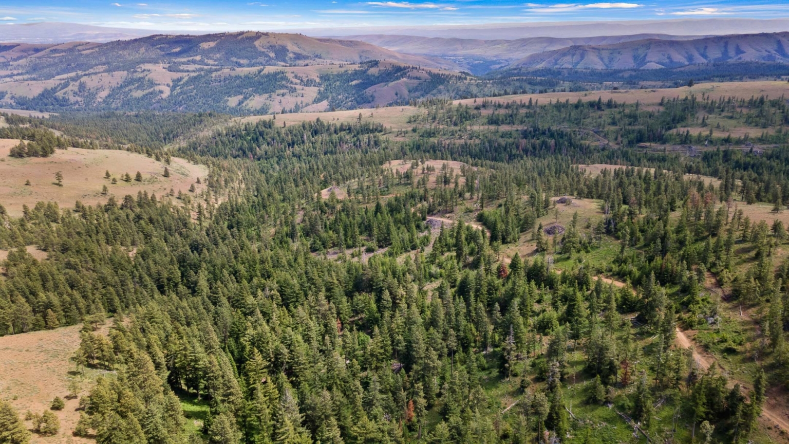 Nasty Creek II | Yakima Washington | Fay Ranches