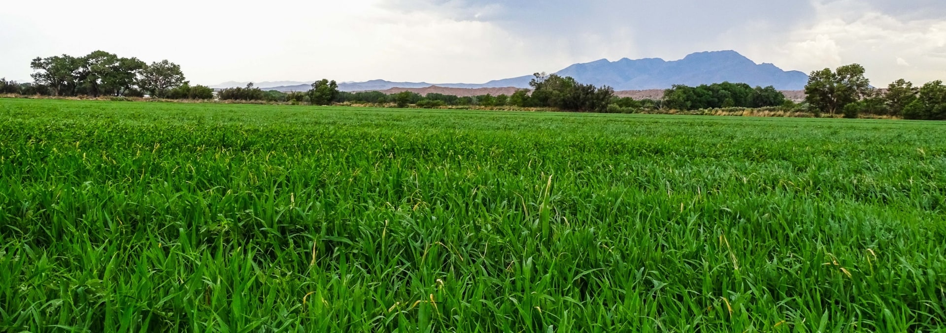 new mexico farms for sale las nutrias farm