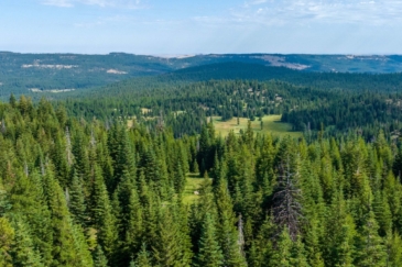 oregon hunting ranches for sale wineland lake hunting and timber ranch