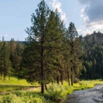 oregon ranches for sale rockin' river ranch