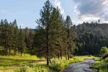oregon ranches for sale rockin' river ranch