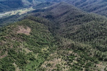 timber property for sale oregon ranches nickel mountain ranch.JPG