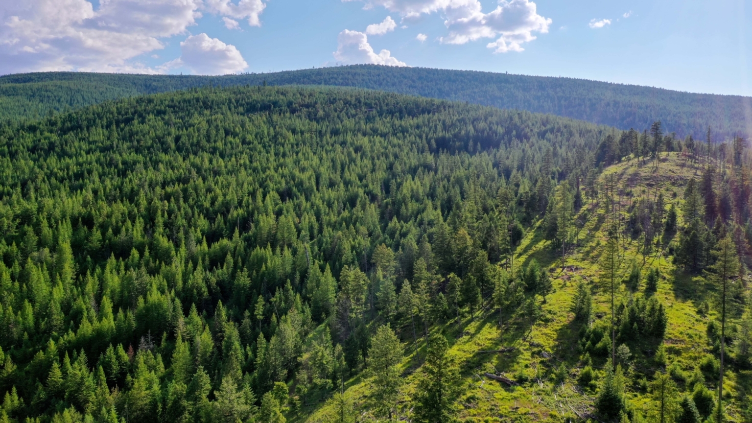 Browns Meadow Ranch Kila Montana Fay Ranches