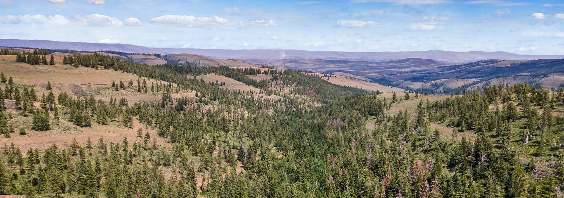 washington ranches for sale nasty creek