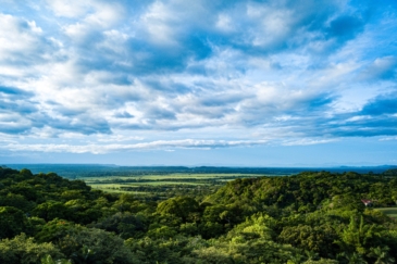Agricultural production land for sale Costa Rica Hacienda Los Gauchos