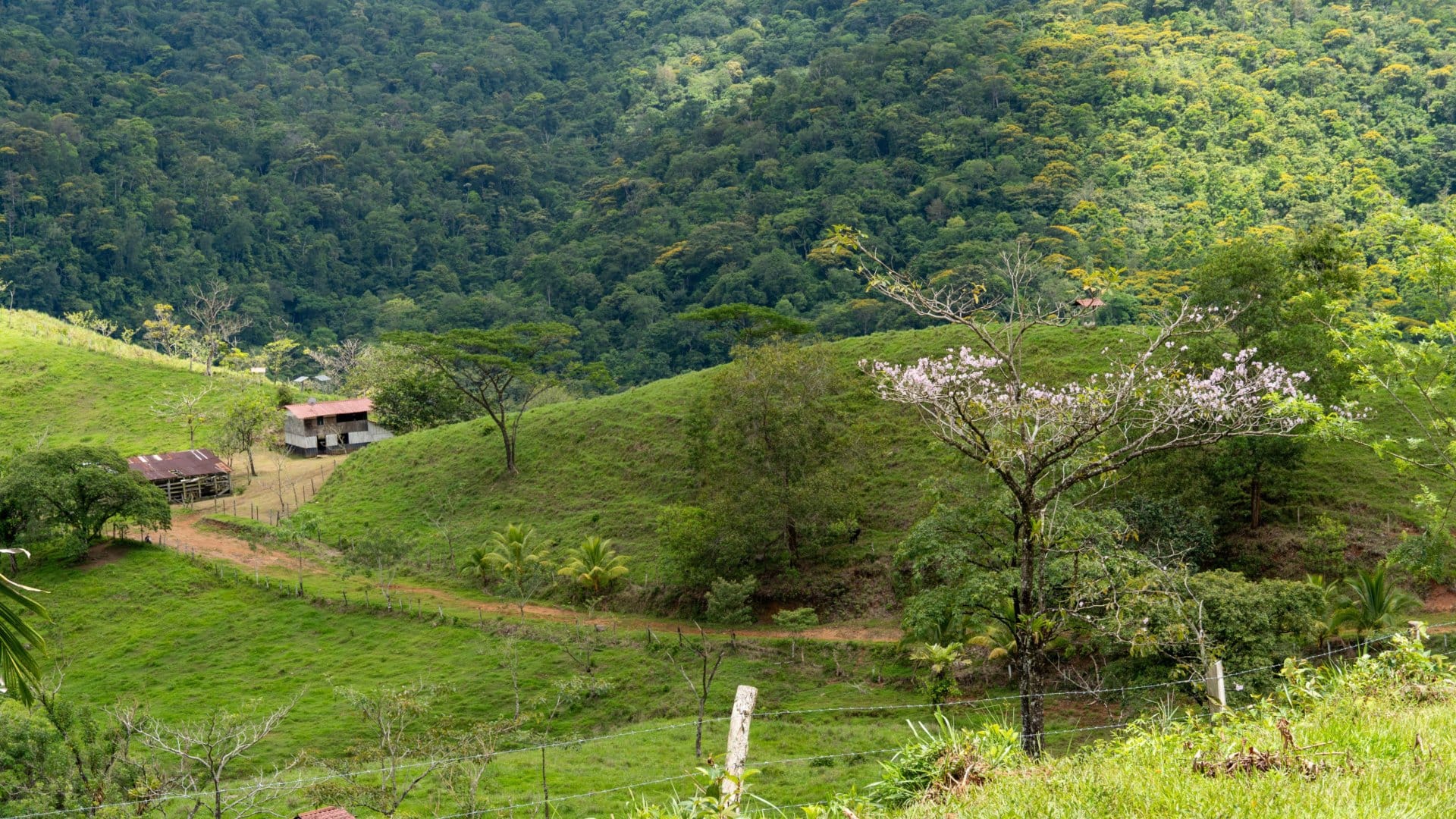 Native Costa Rica Hacienda Los Gauchos