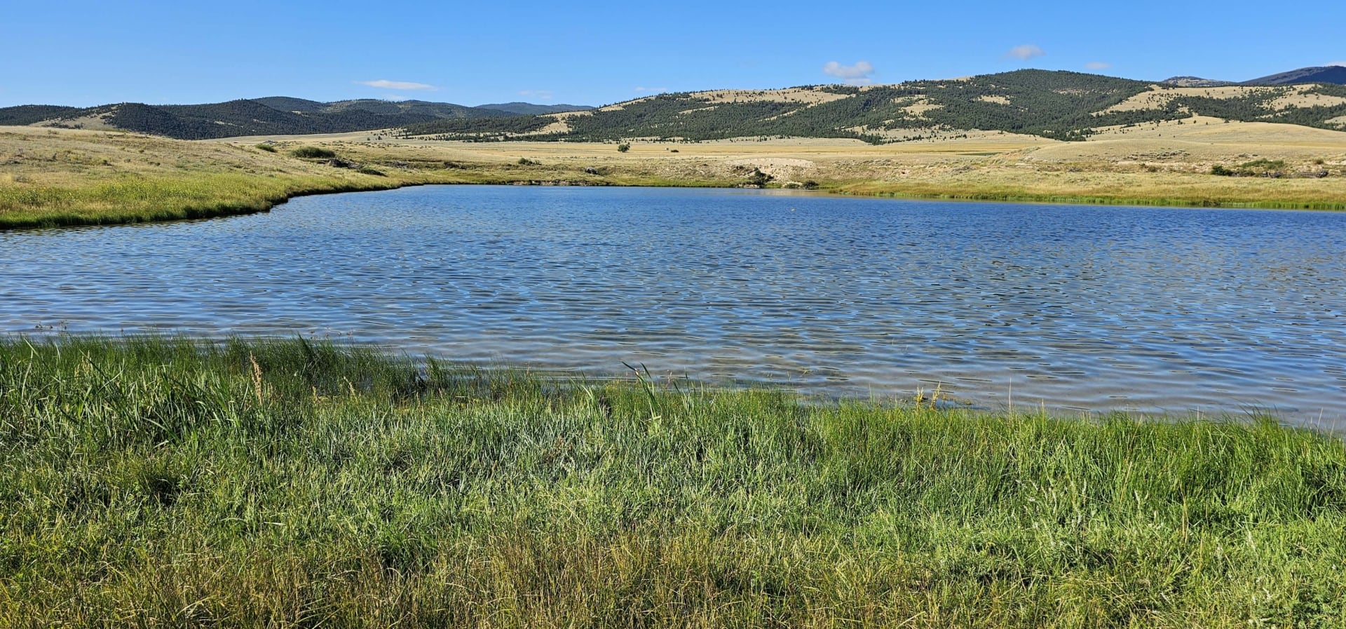 pond montana settle ranch