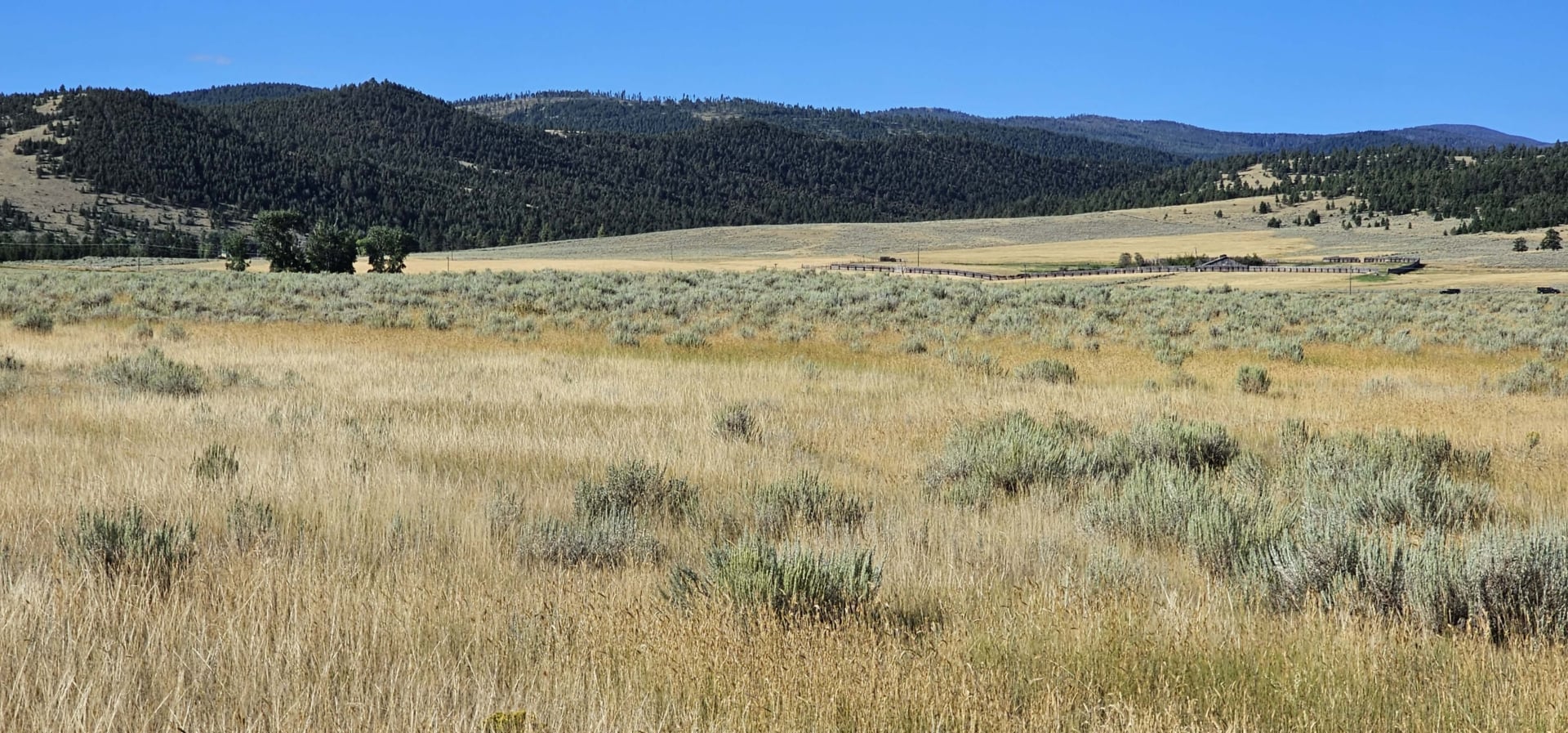 sage grass field montana settle ranch