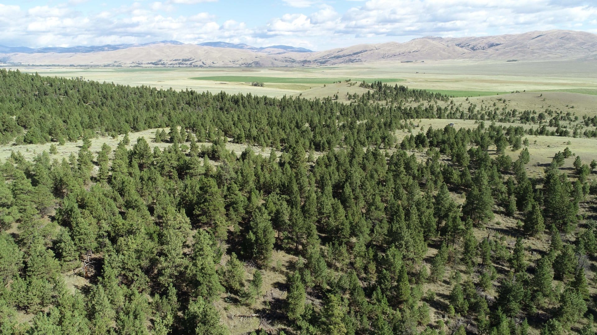 aerial view field montana settle ranch