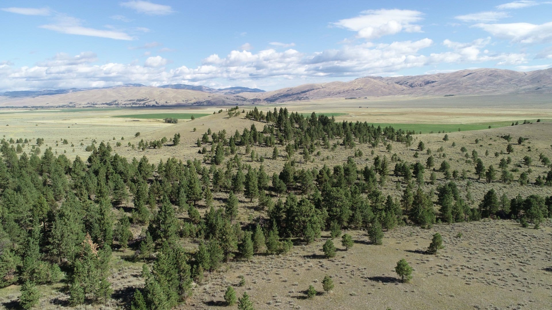 aerial view hills montana settle ranch