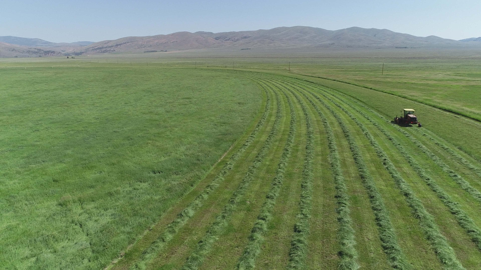 agricultural production for sale montana settle ranch