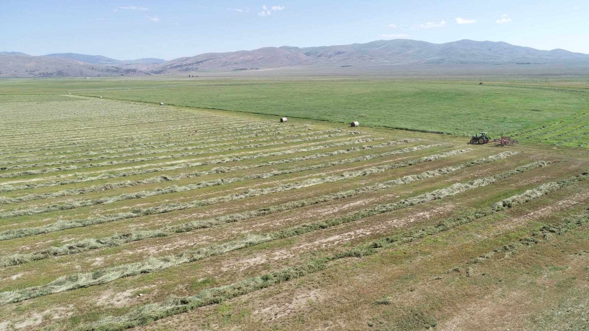 agriculture hay fields montana settle ranch