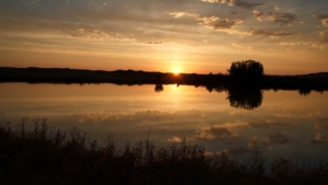 Gray Ranch on Little Porcupine Creek | Forsyth Montana | Fay Ranches