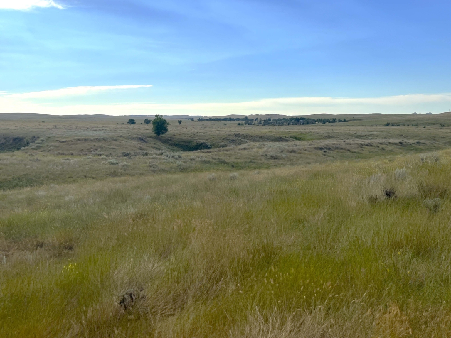 Ringling Ranch II | Ekalaka Montana | Fay Ranches