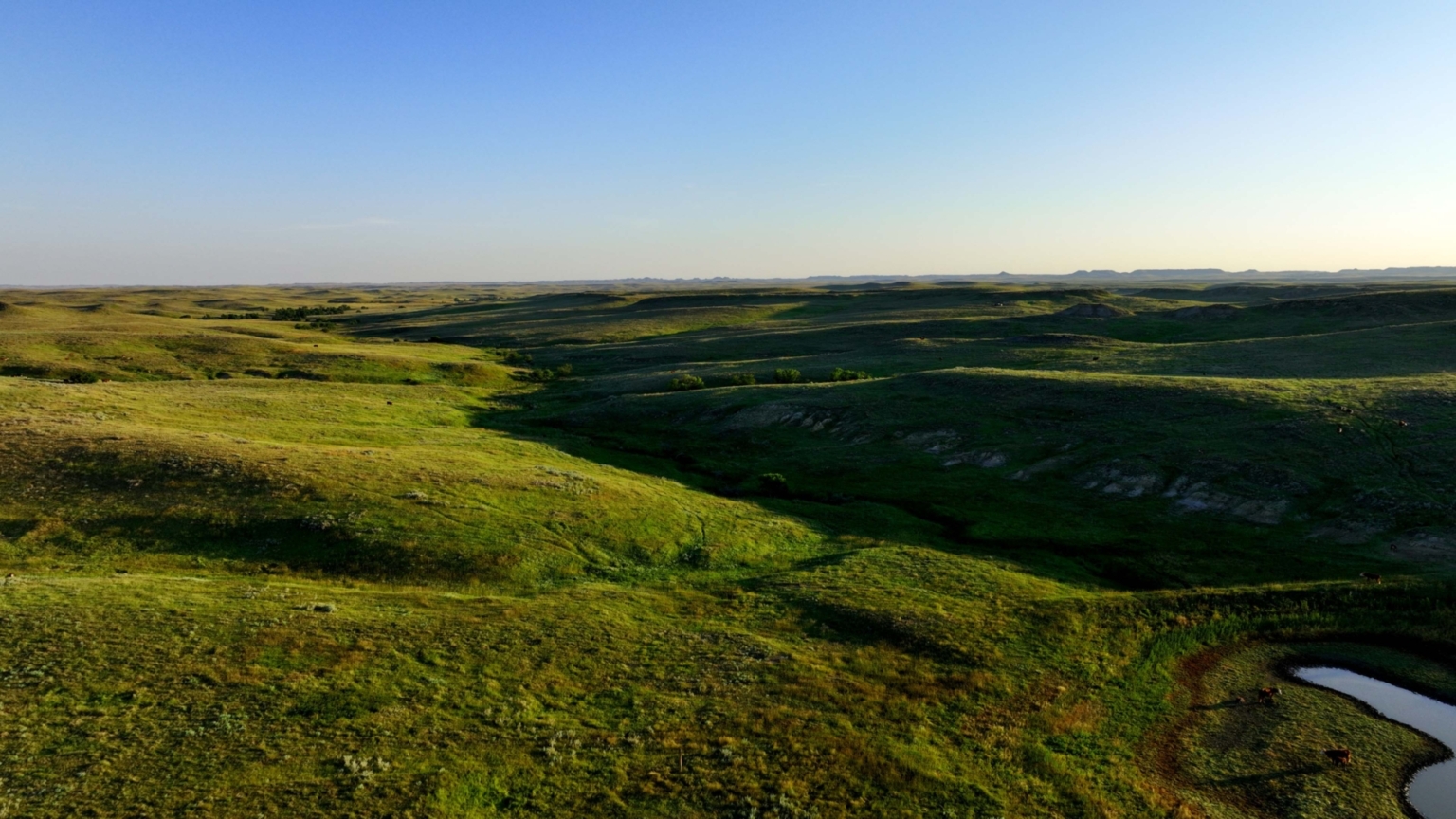 Ringling Ranch II | Ekalaka Montana | Fay Ranches